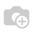 CGT COMPANY S.A.C.